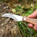 Nóż na grzyby składany z miotełką 17cm
