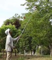Zbierak do owoców wysięgnik do prac sadowniczych teleskopowy 4m